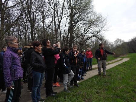 7. april, mednarodni dan bobra in Dan za spremembe 6